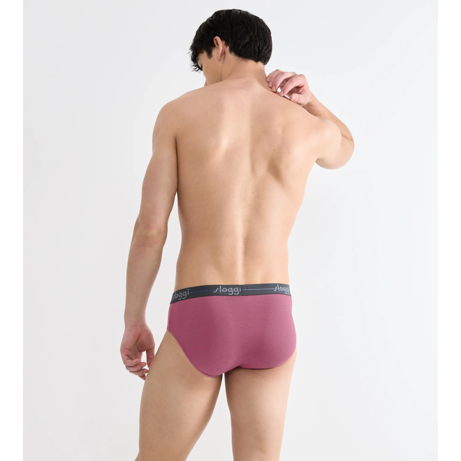 sloggi men Start Midi C2P box Violet-Light Combination - M021 10206949*M021